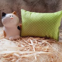 katzenkissen raschelnd